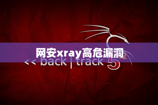 网安xray高危漏洞