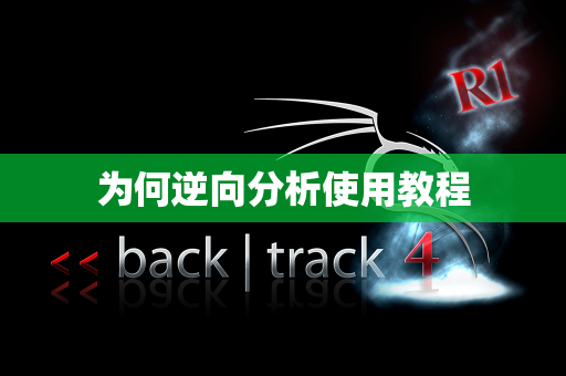 为何逆向分析使用教程