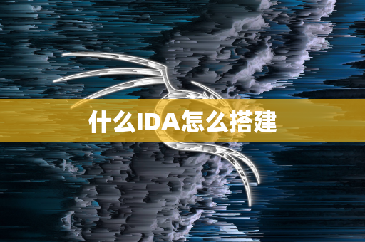 什么IDA怎么搭建