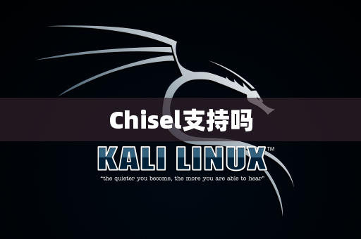 Chisel支持吗
