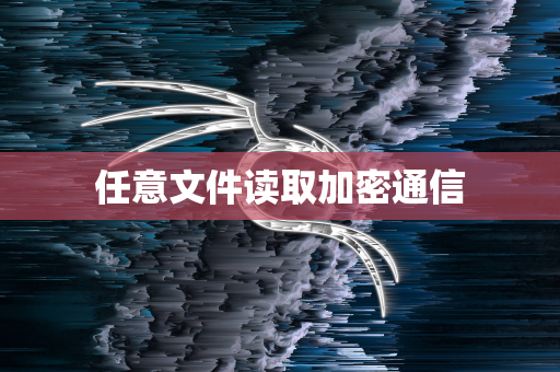 任意文件读取加密通信