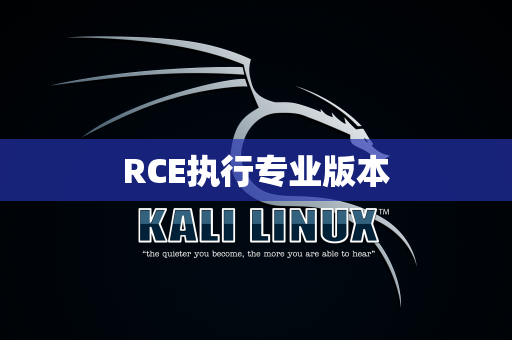 RCE执行专业版本