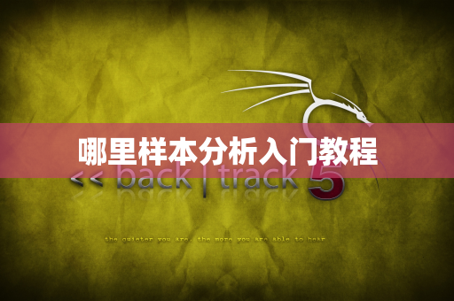 哪里样本分析入门教程