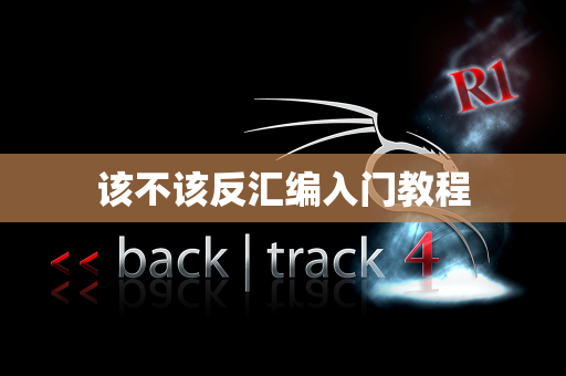 该不该反汇编入门教程