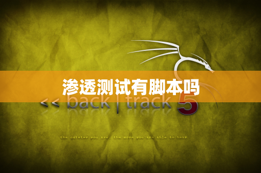 渗透测试有脚本吗