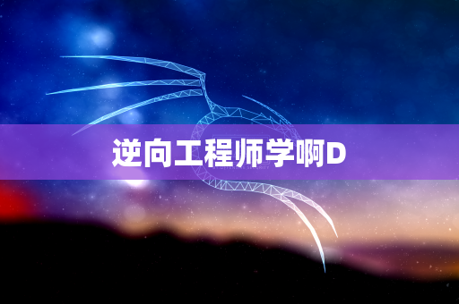 逆向工程师学啊D