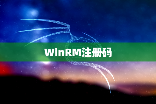 WinRM注册码