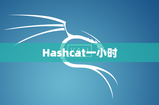 Hashcat一小时