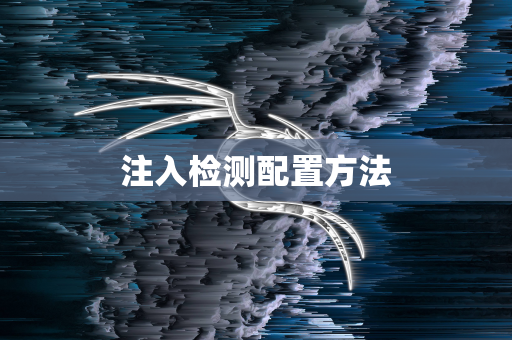 注入检测配置方法