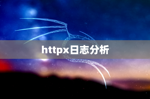 httpx日志分析