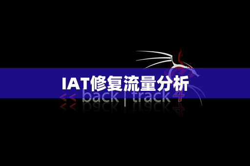 IAT修复流量分析
