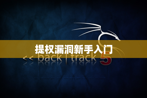 提权漏洞新手入门