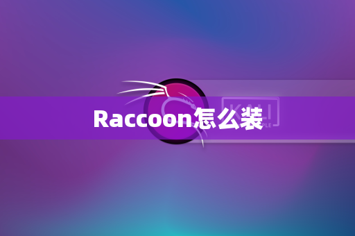 Raccoon怎么装