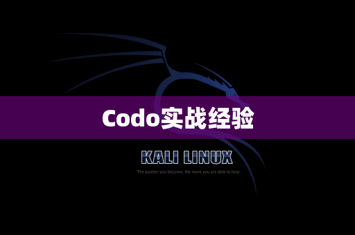 Codo实战经验