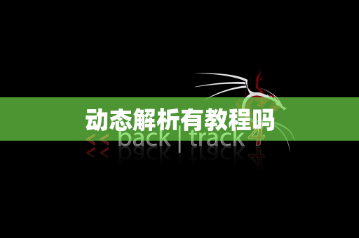 动态解析有教程吗