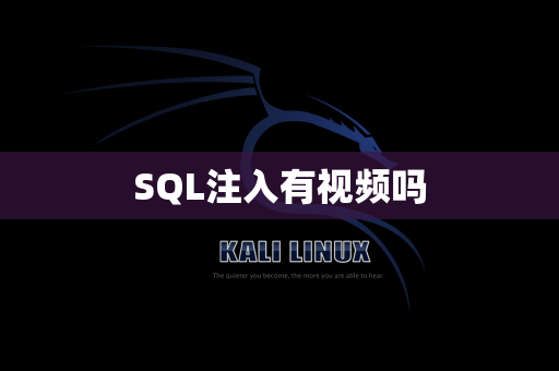 SQL注入有视频吗
