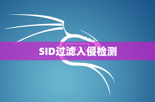 SID过滤入侵检测