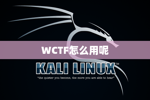 WCTF怎么用呢