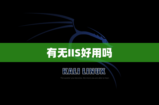 有无IIS好用吗