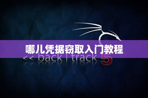 哪儿凭据窃取入门教程