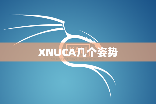 XNUCA几个姿势