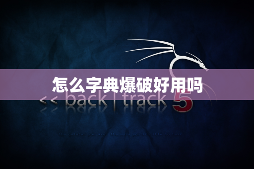 怎么字典爆破好用吗