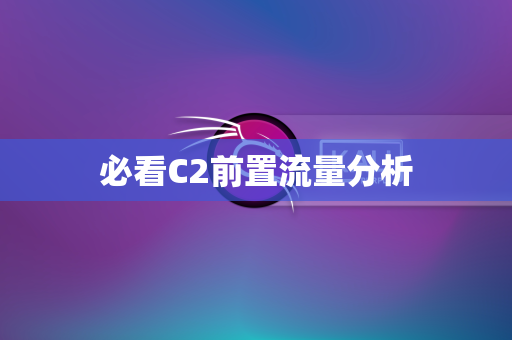 必看C2前置流量分析