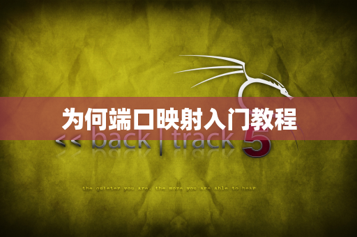 为何端口映射入门教程
