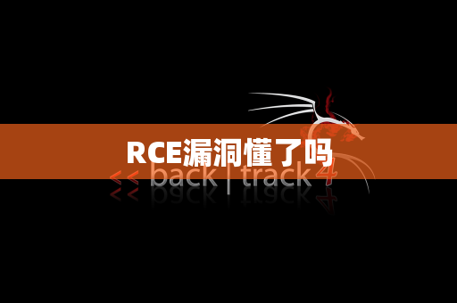 RCE漏洞懂了吗