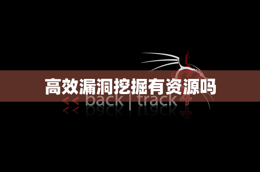 高效漏洞挖掘有资源吗