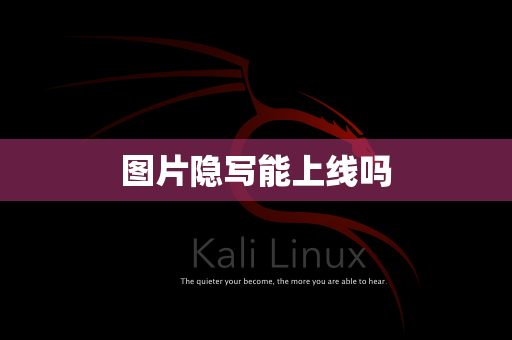 图片隐写能上线吗
