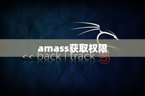 amass获取权限