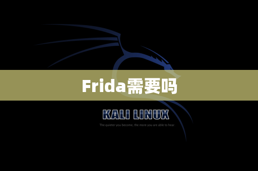 Frida需要吗