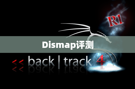 Dismap评测