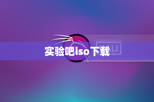 实验吧iso下载