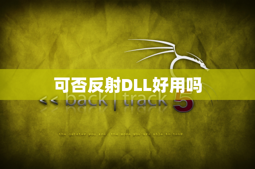 可否反射DLL好用吗