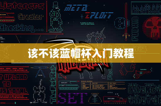 该不该蓝帽杯入门教程