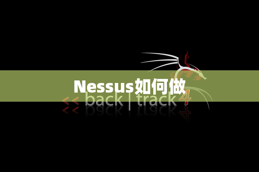 Nessus如何做