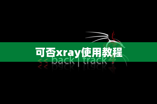 可否xray使用教程