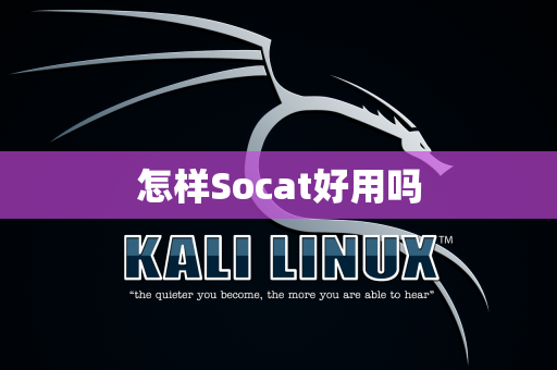 怎样Socat好用吗