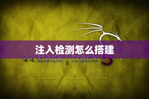 注入检测怎么搭建