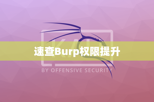 速查Burp权限提升