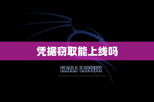 凭据窃取能上线吗