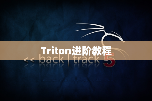 Triton进阶教程
