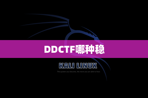 DDCTF哪种稳