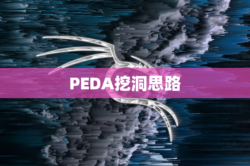 PEDA挖洞思路