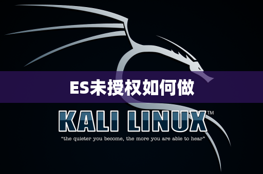 ES未授权如何做
