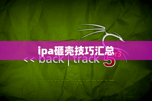 ipa砸壳技巧汇总