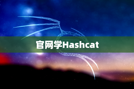 官网学Hashcat