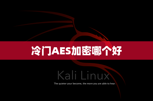 冷门AES加密哪个好